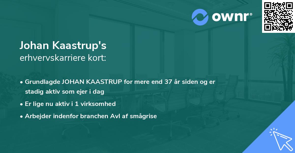 Johan Kaastrup's erhvervskarriere kort