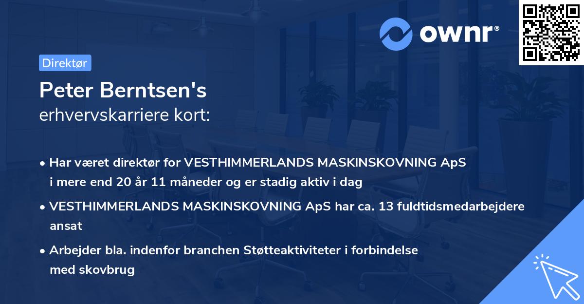 Peter Berntsen's erhvervskarriere kort