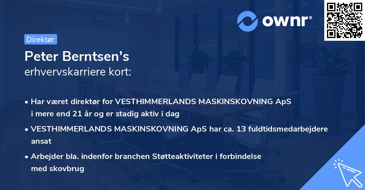 Peter Berntsen's erhvervskarriere kort