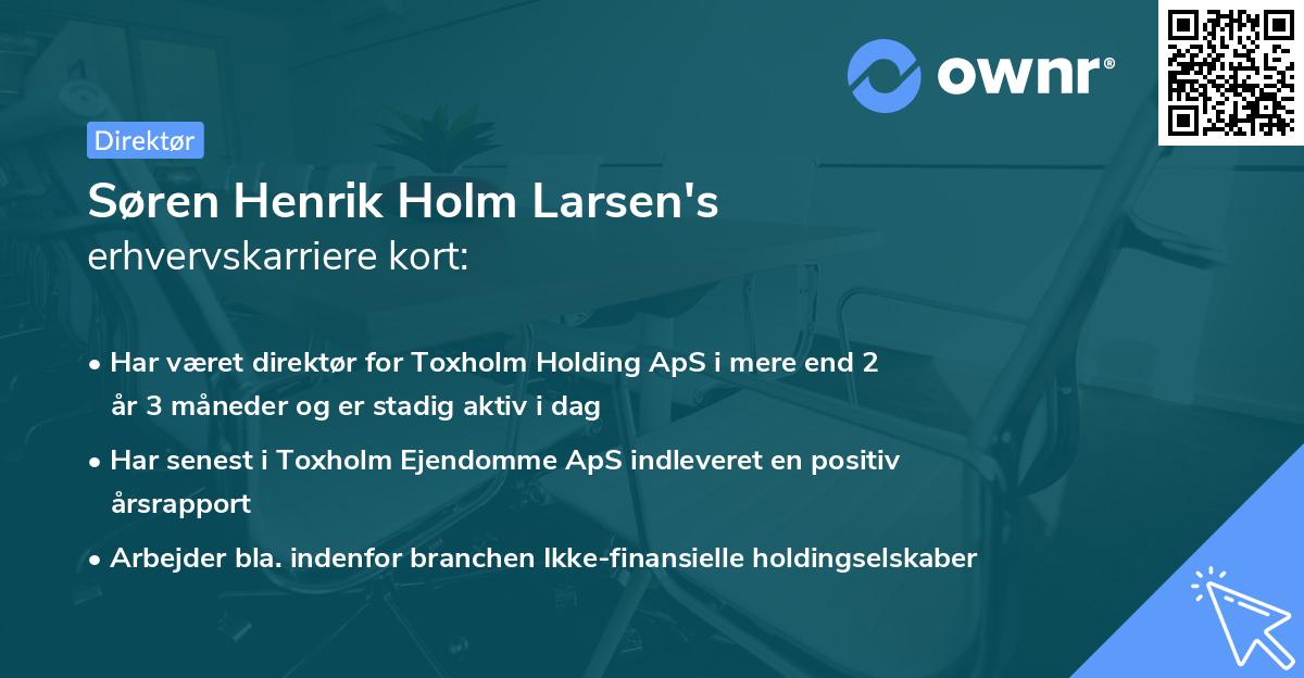 Søren Henrik Holm Larsen's erhvervskarriere kort