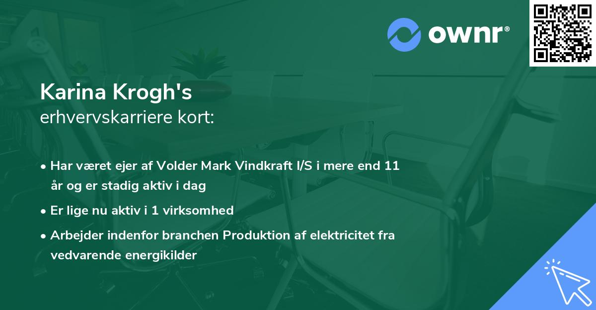 Karina Krogh's erhvervskarriere kort