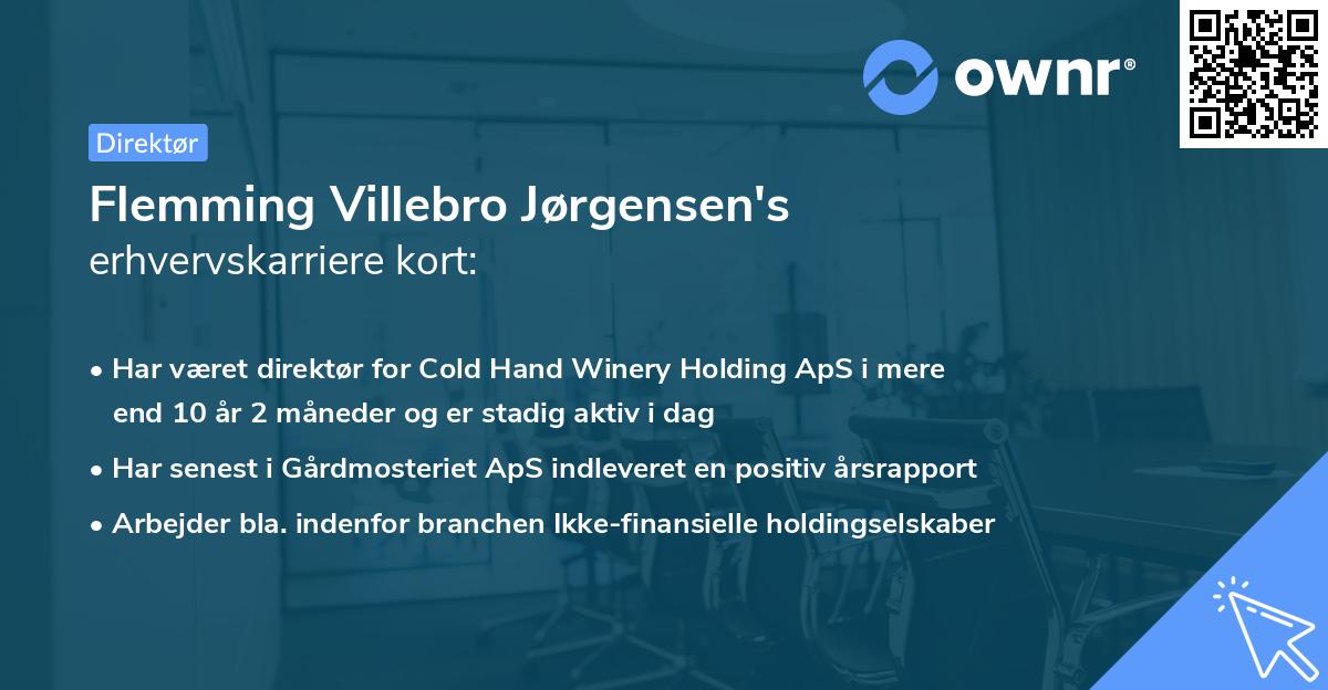 Flemming Villebro Jørgensen's erhvervskarriere kort