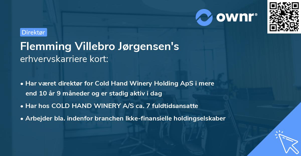 Flemming Villebro Jørgensen's erhvervskarriere kort