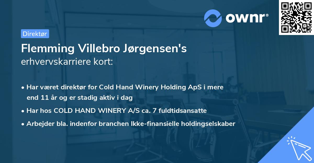 Flemming Villebro Jørgensen's erhvervskarriere kort