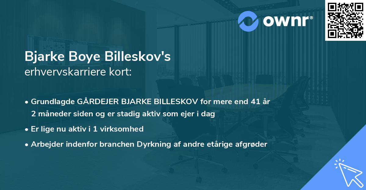 Bjarke Boye Billeskov's erhvervskarriere kort