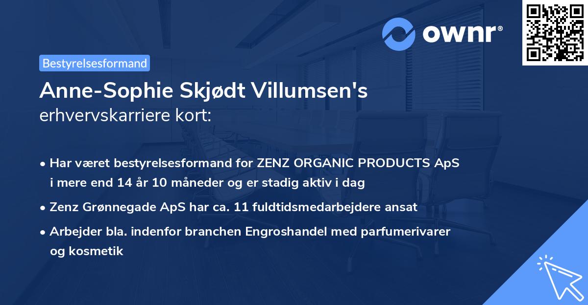 Anne-Sophie Skjødt Villumsen's erhvervskarriere kort