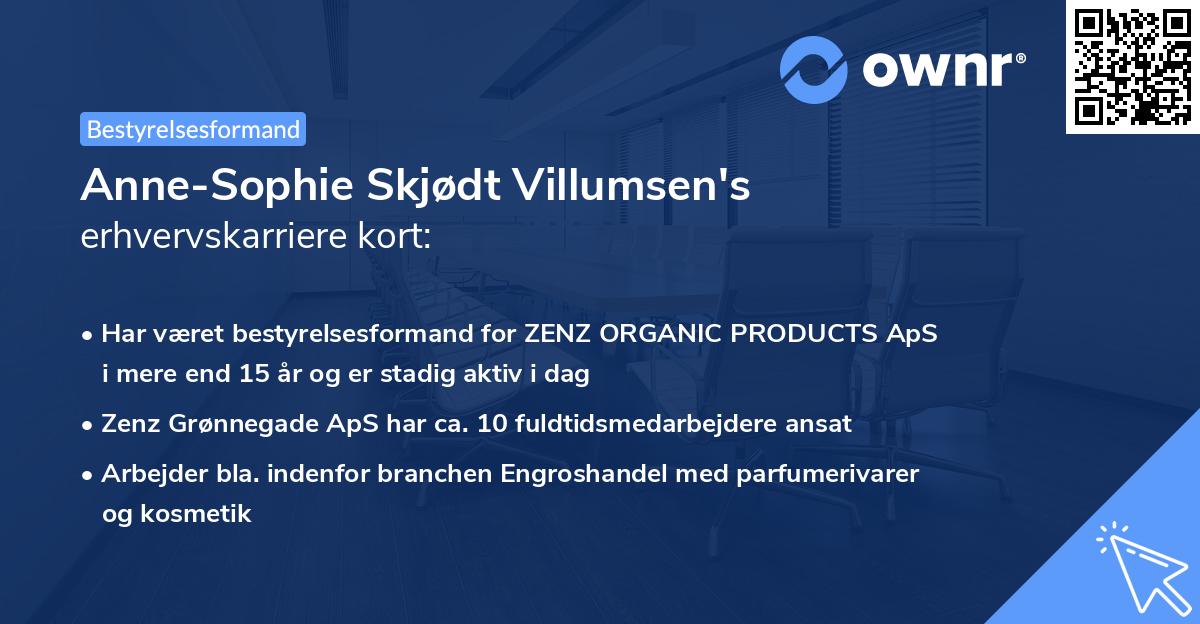 Anne-Sophie Skjødt Villumsen's erhvervskarriere kort