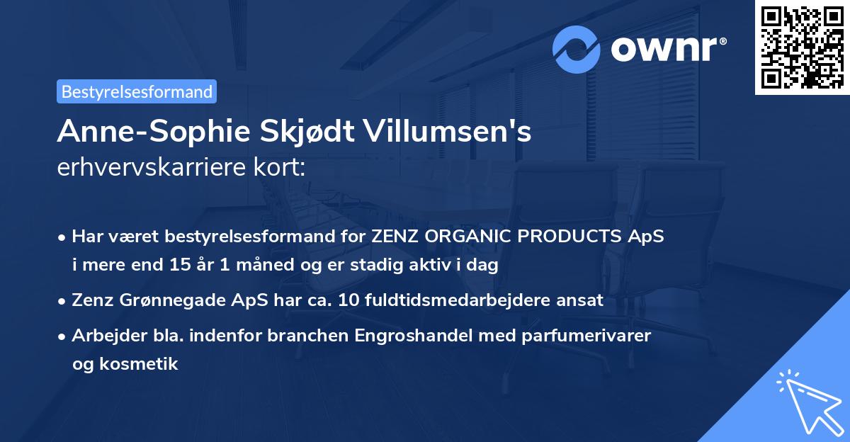 Anne-Sophie Skjødt Villumsen's erhvervskarriere kort