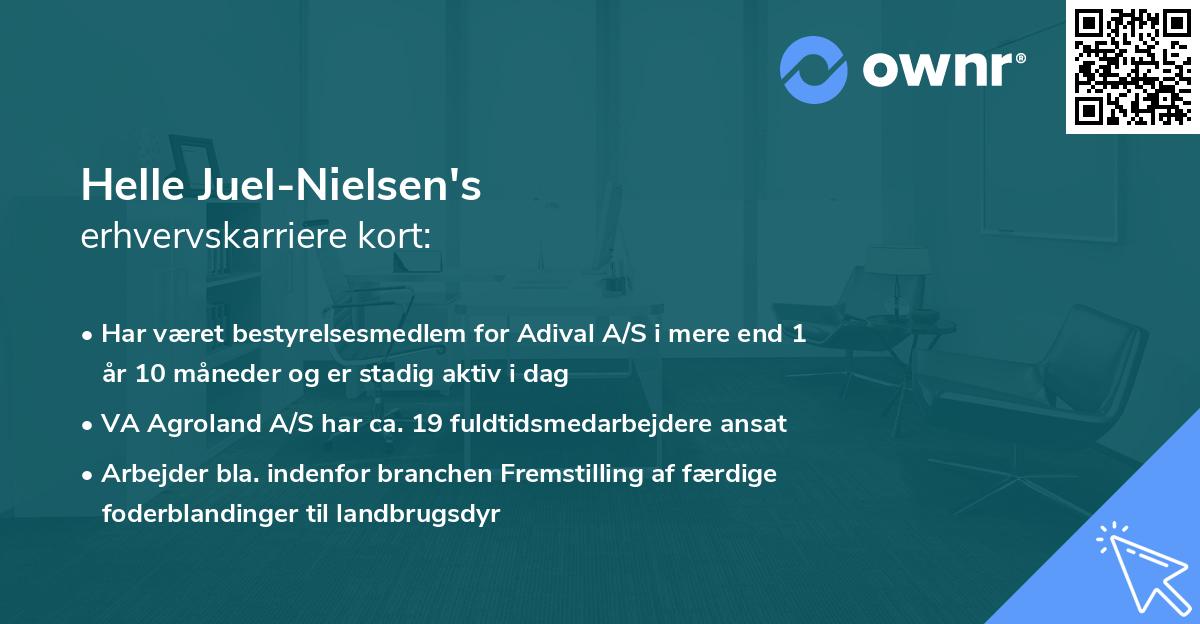 Helle Juel-Nielsen's erhvervskarriere kort