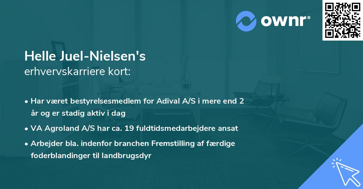 Helle Juel-Nielsen's erhvervskarriere kort