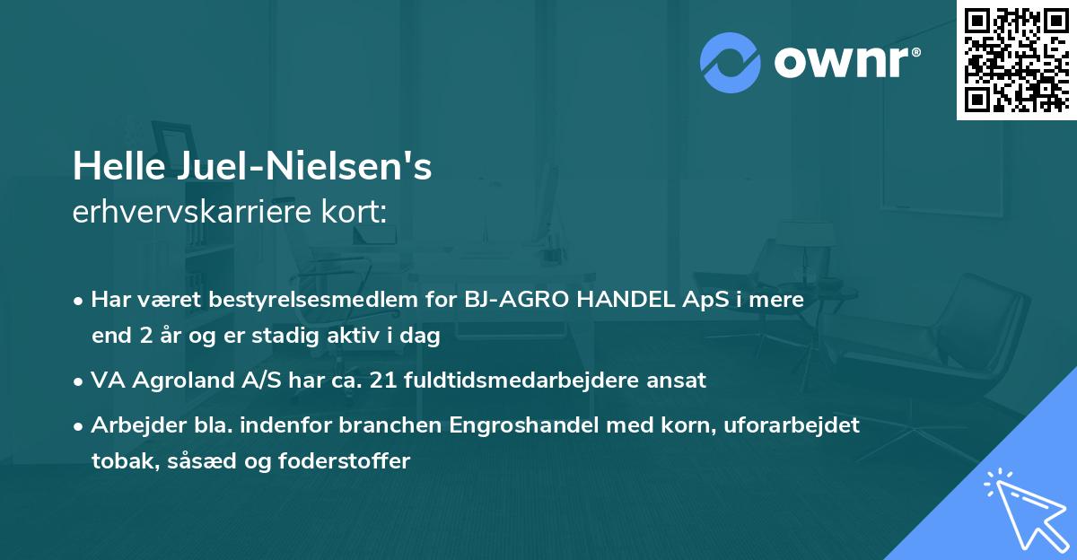 Helle Juel-Nielsen's erhvervskarriere kort