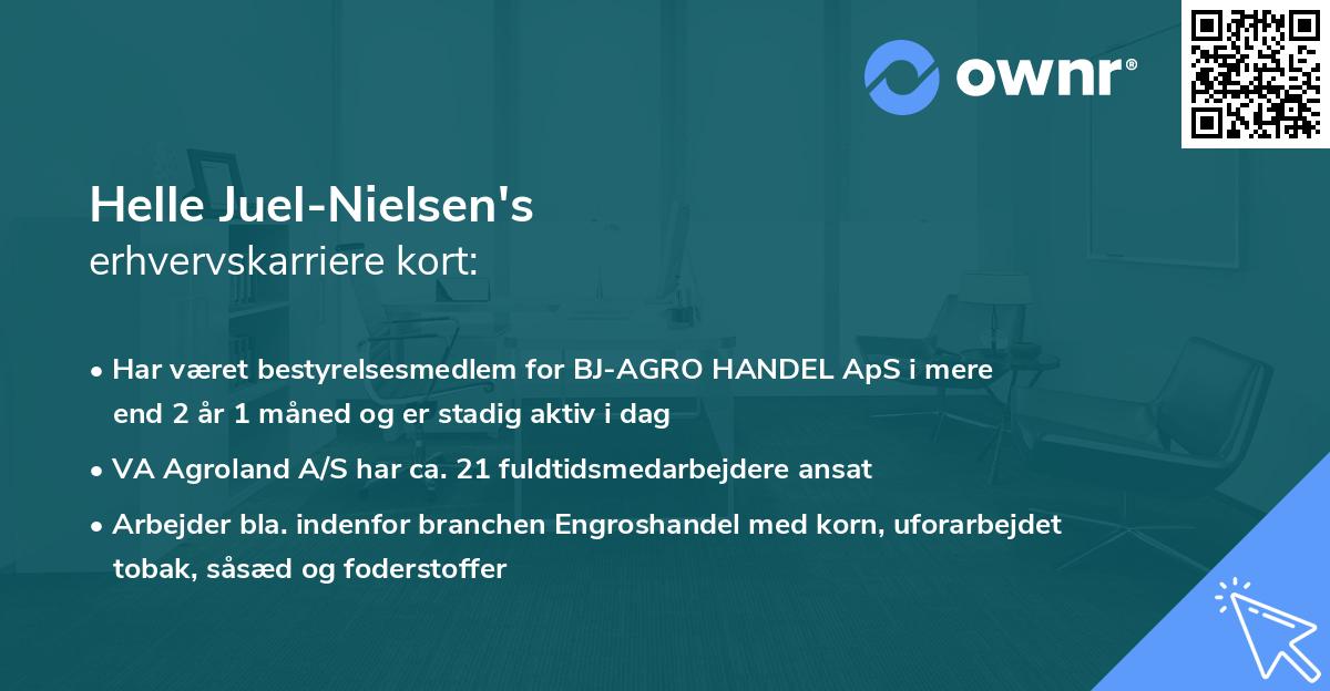 Helle Juel-Nielsen's erhvervskarriere kort