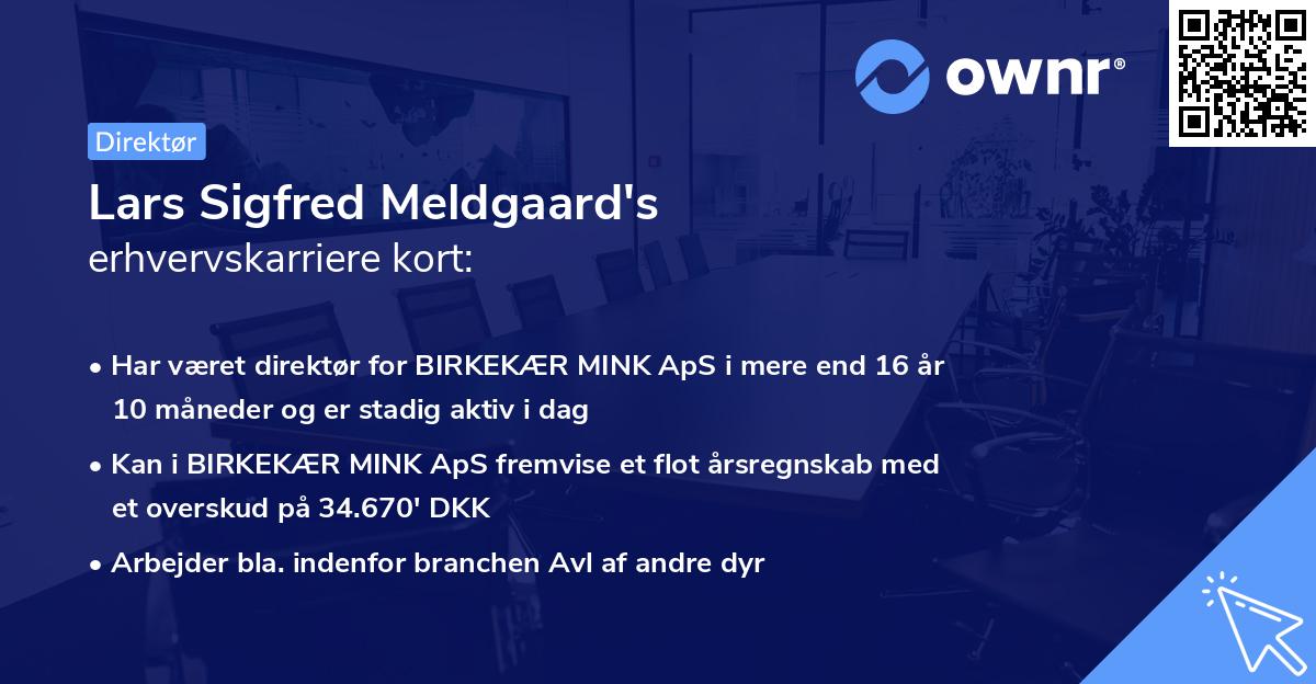Lars Sigfred Meldgaard's erhvervskarriere kort