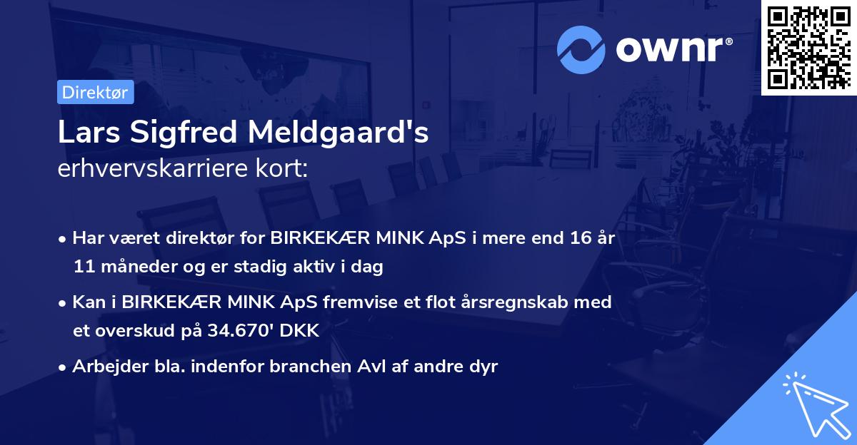 Lars Sigfred Meldgaard's erhvervskarriere kort