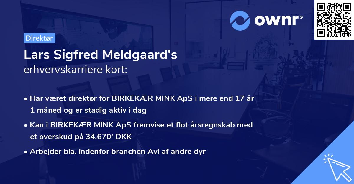 Lars Sigfred Meldgaard's erhvervskarriere kort