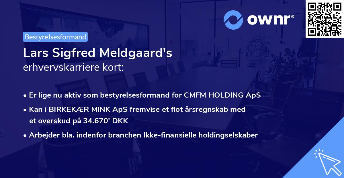 Lars Sigfred Meldgaard's erhvervskarriere kort