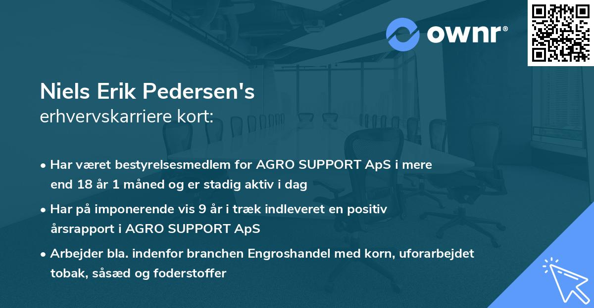 Niels Erik Pedersen's erhvervskarriere kort