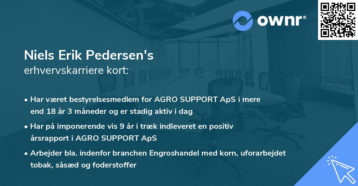 Niels Erik Pedersen's erhvervskarriere kort