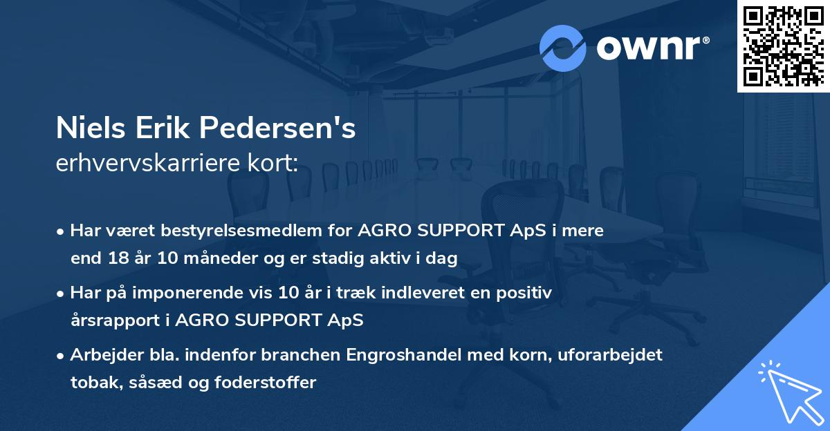 Niels Erik Pedersen's erhvervskarriere kort
