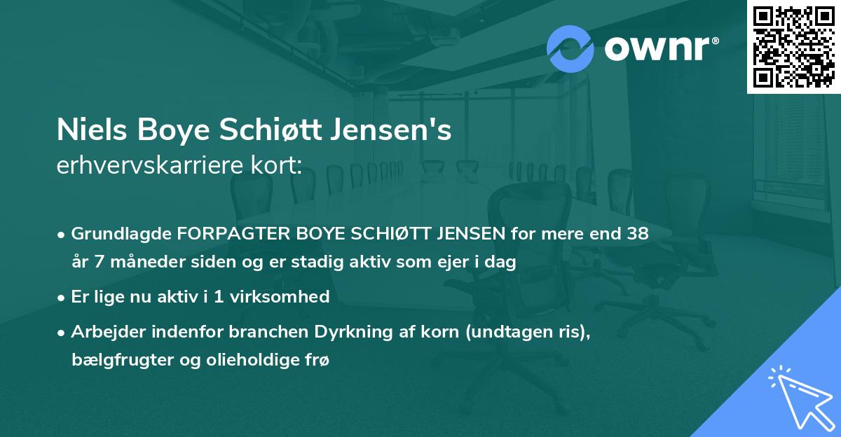 Niels Boye Schiøtt Jensen's erhvervskarriere kort