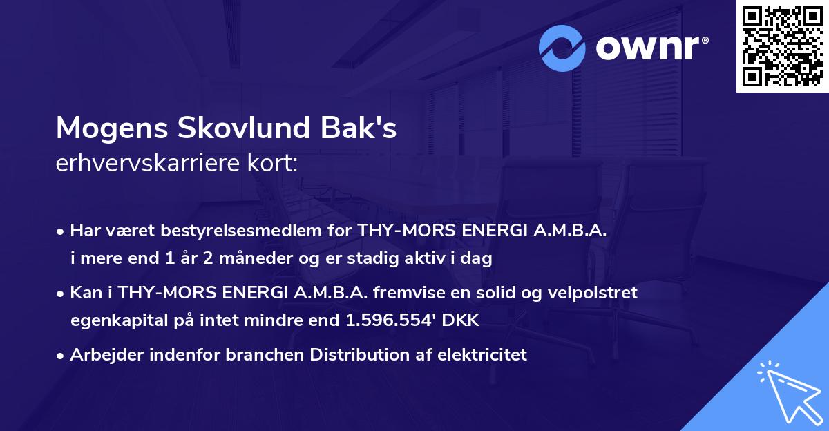 Mogens Skovlund Bak's erhvervskarriere kort