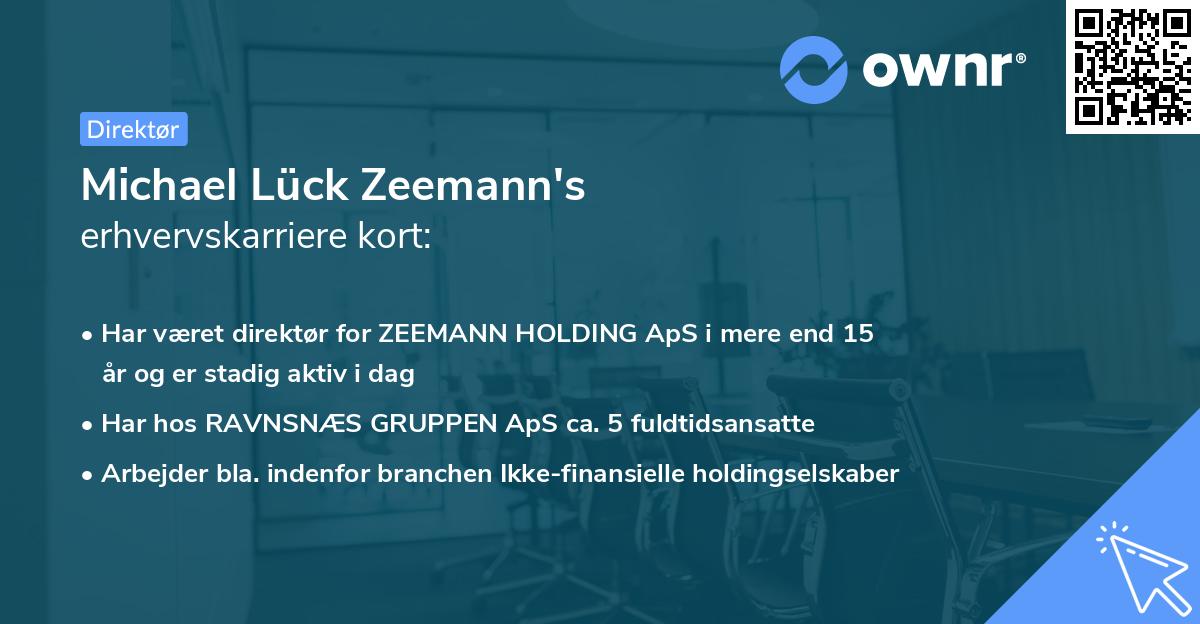 Michael Lück Zeemann's erhvervskarriere kort