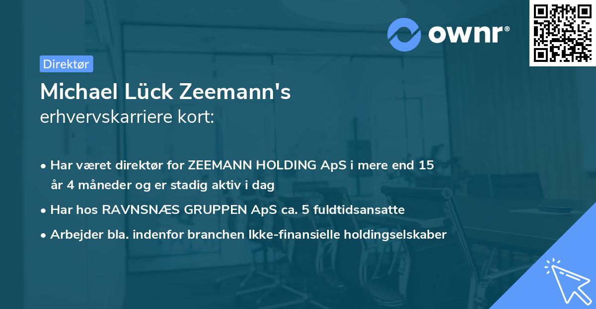 Michael Lück Zeemann's erhvervskarriere kort