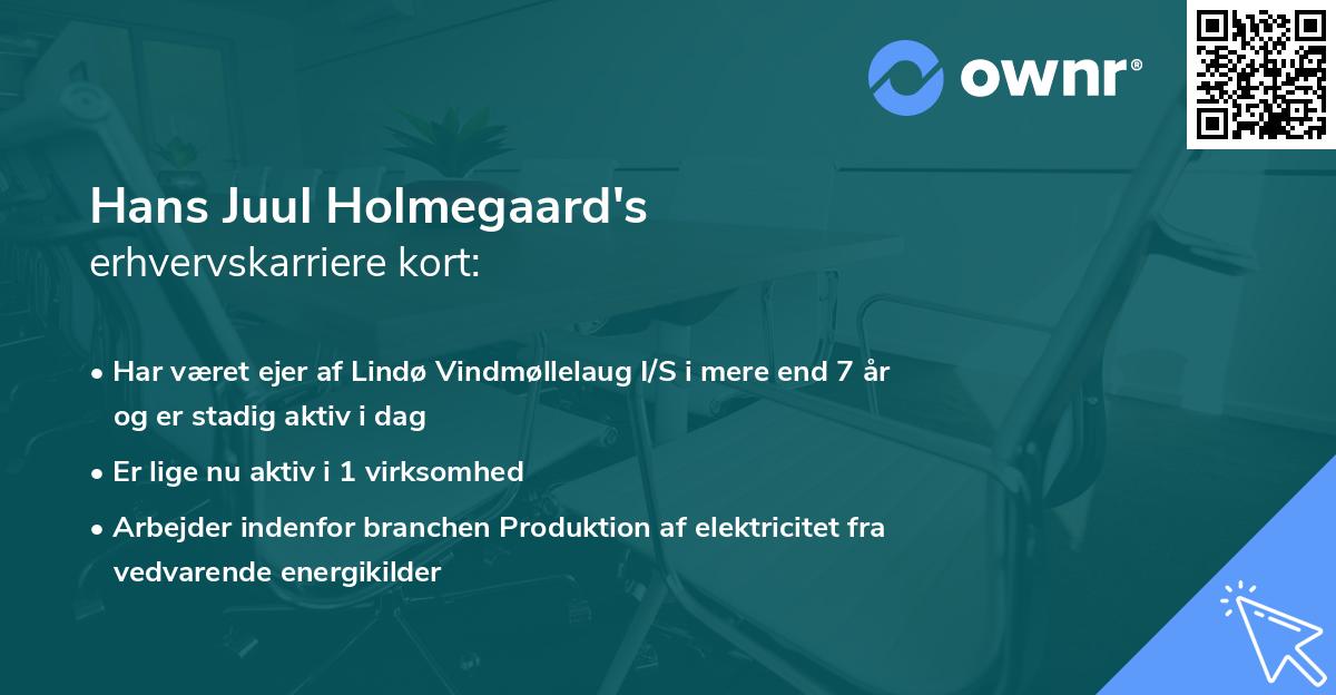 Hans Juul Holmegaard's erhvervskarriere kort