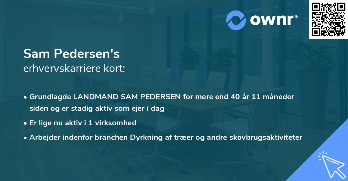 Sam Pedersen's erhvervskarriere kort