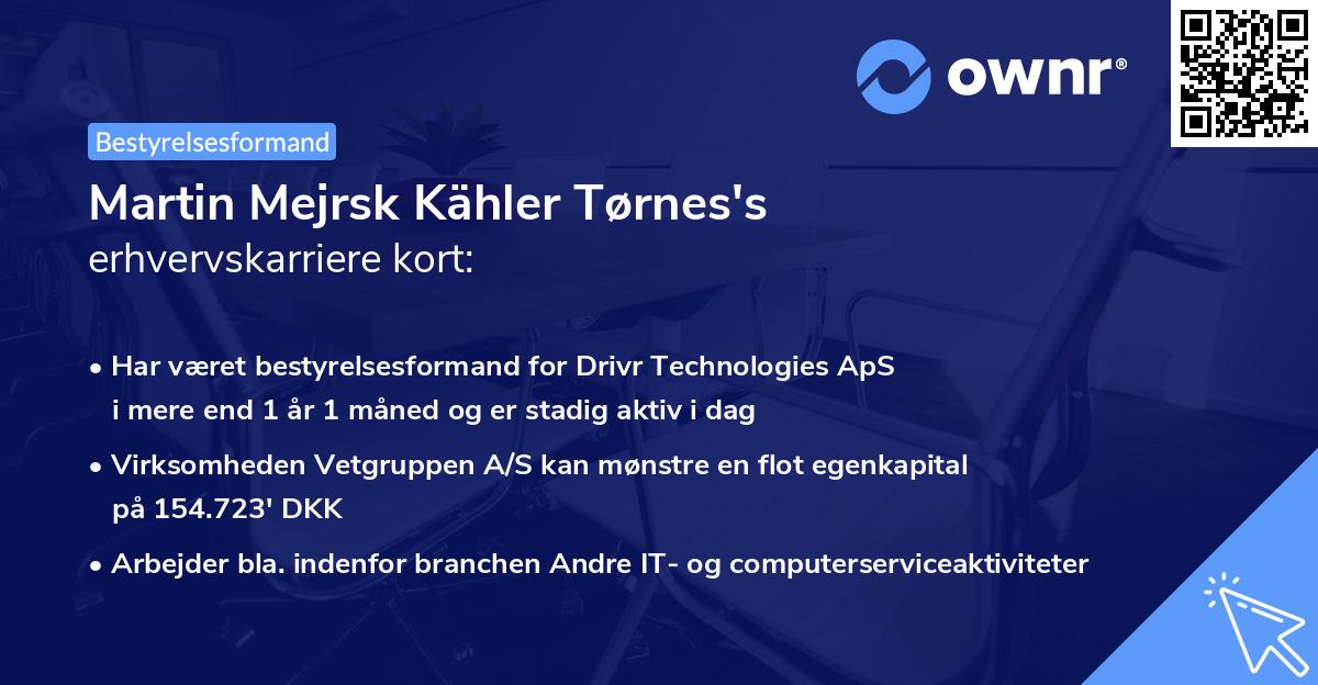 Martin Mejrsk Kähler Tørnes's erhvervskarriere kort