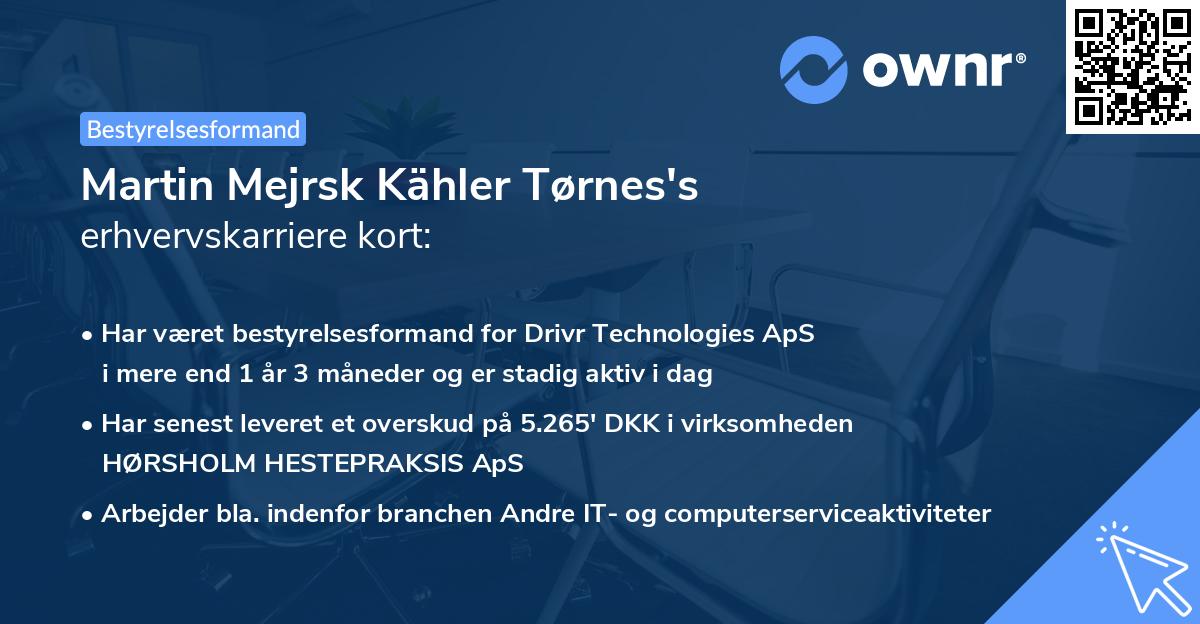 Martin Mejrsk Kähler Tørnes's erhvervskarriere kort