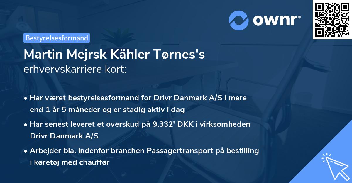 Martin Mejrsk Kähler Tørnes's erhvervskarriere kort