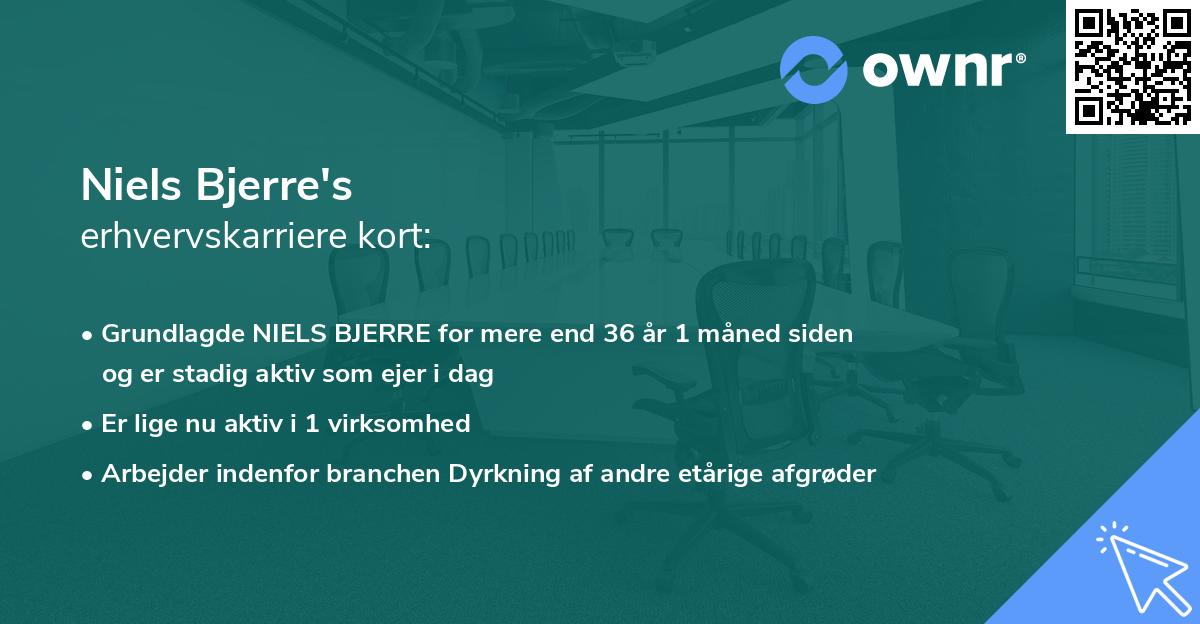 Niels Bjerre's erhvervskarriere kort