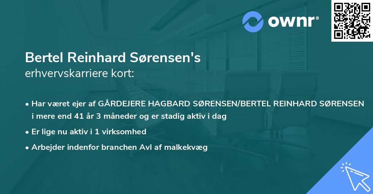 Bertel Reinhard Sørensen's erhvervskarriere kort