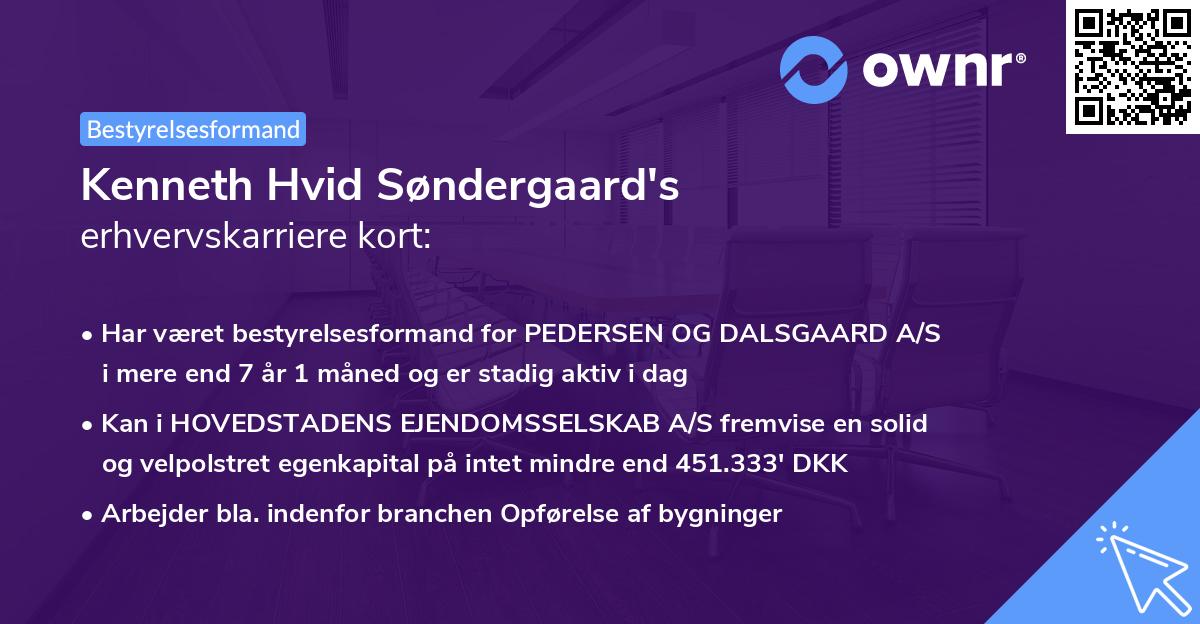 Kenneth Hvid Søndergaard's erhvervskarriere kort
