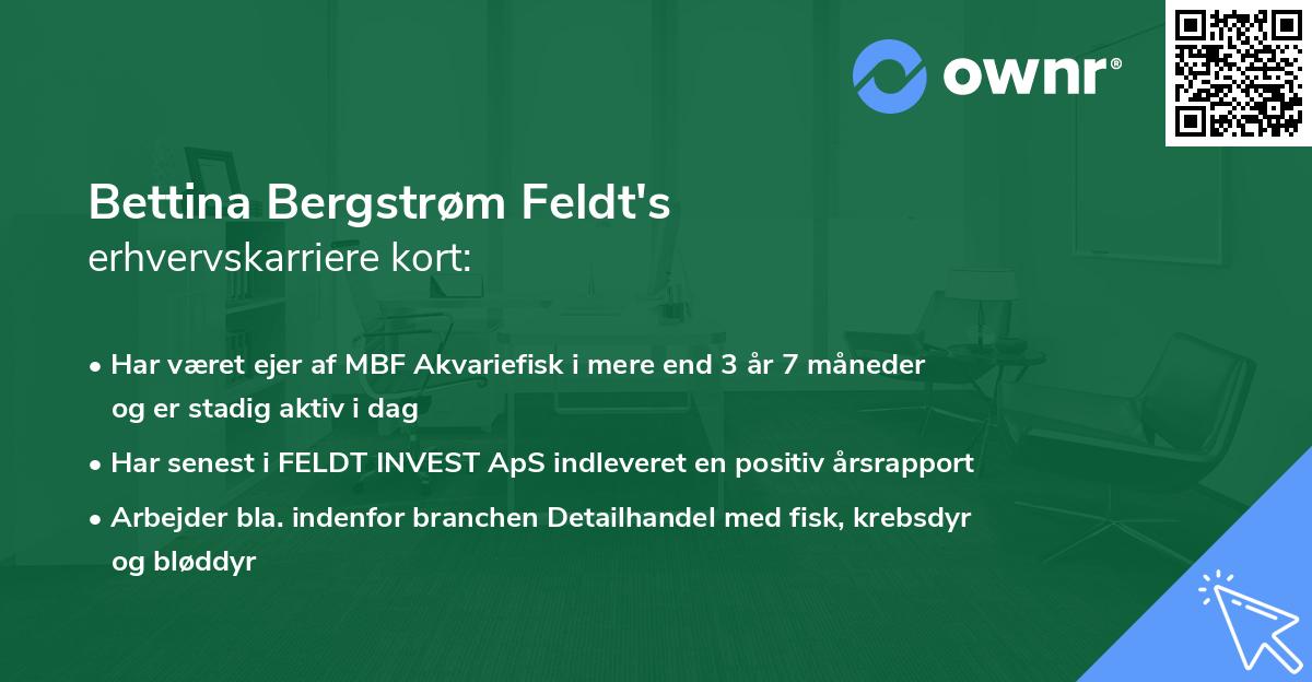Bettina Bergstrøm Feldt's erhvervskarriere kort