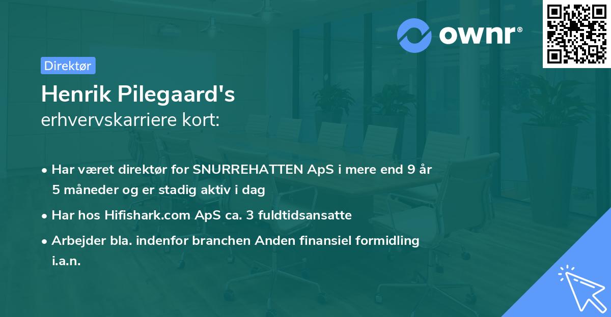 Henrik Pilegaard's erhvervskarriere kort