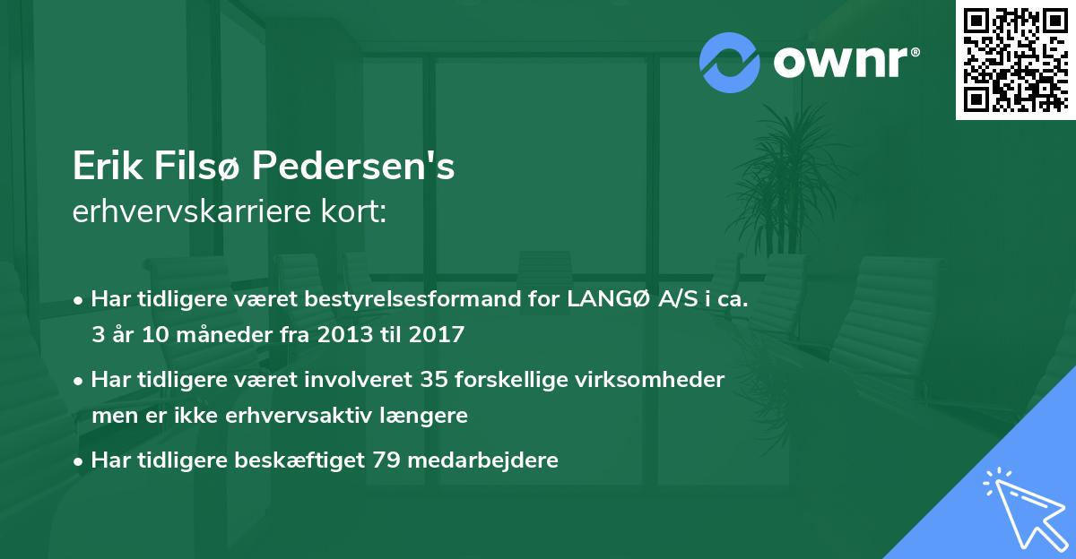 Erik Filsø Pedersen's erhvervskarriere kort