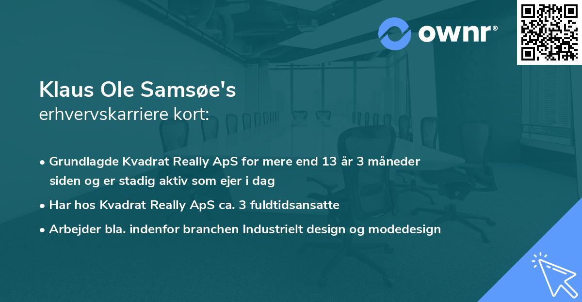 Klaus Ole Samsøe's erhvervskarriere kort