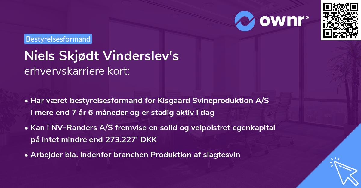 Niels Skjødt Vinderslev's erhvervskarriere kort