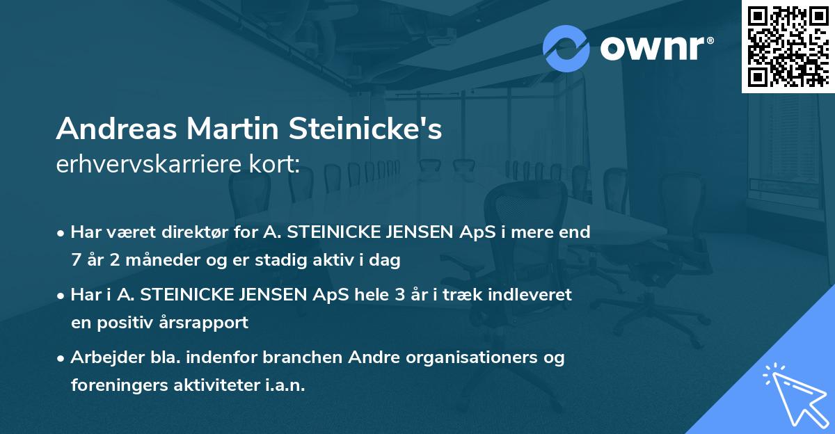 Andreas Martin Steinicke's erhvervskarriere kort