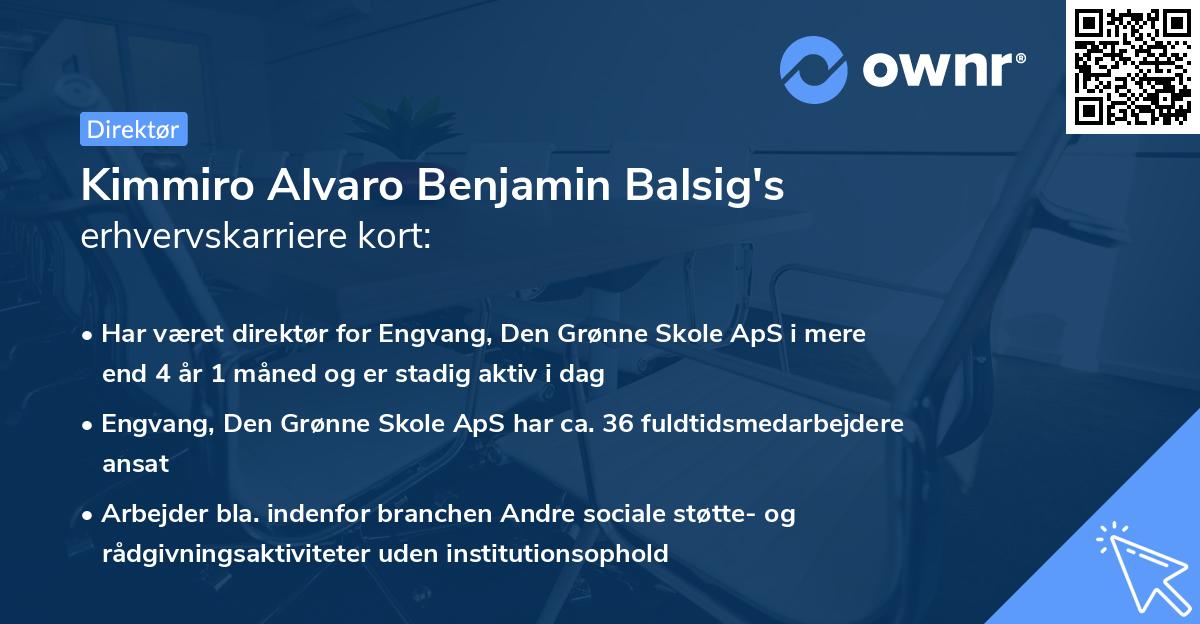 Kimmiro Alvaro Benjamin Balsig's erhvervskarriere kort