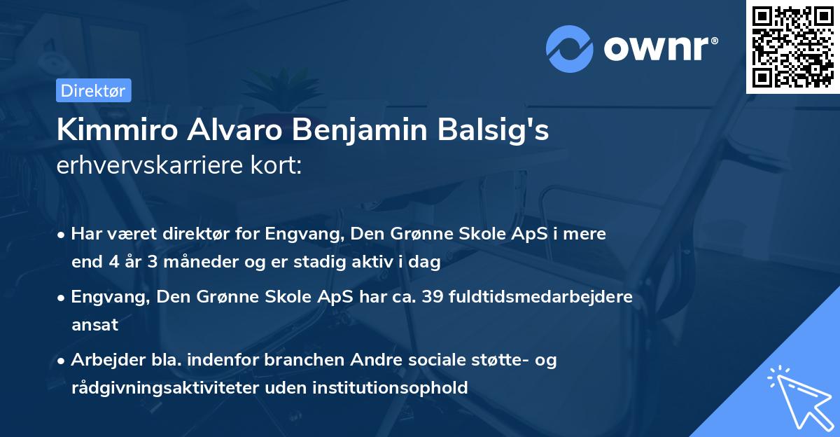 Kimmiro Alvaro Benjamin Balsig's erhvervskarriere kort