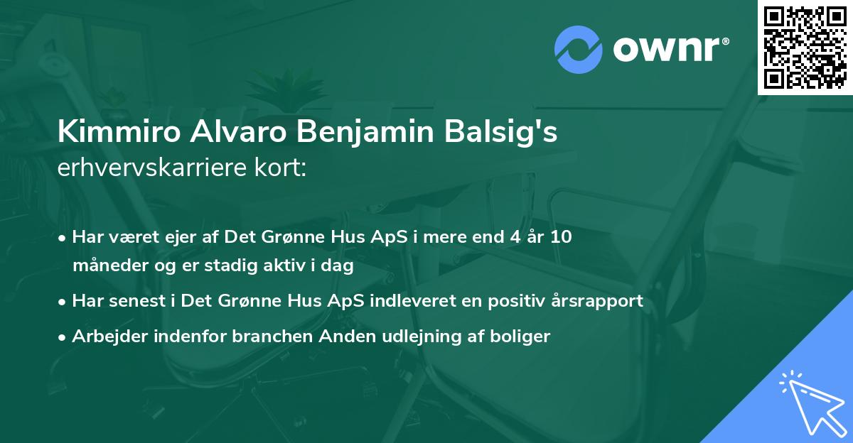 Kimmiro Alvaro Benjamin Balsig's erhvervskarriere kort