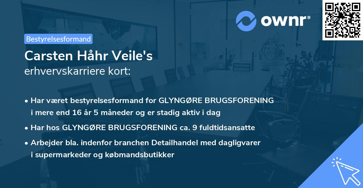 Carsten Håhr Veile's erhvervskarriere kort
