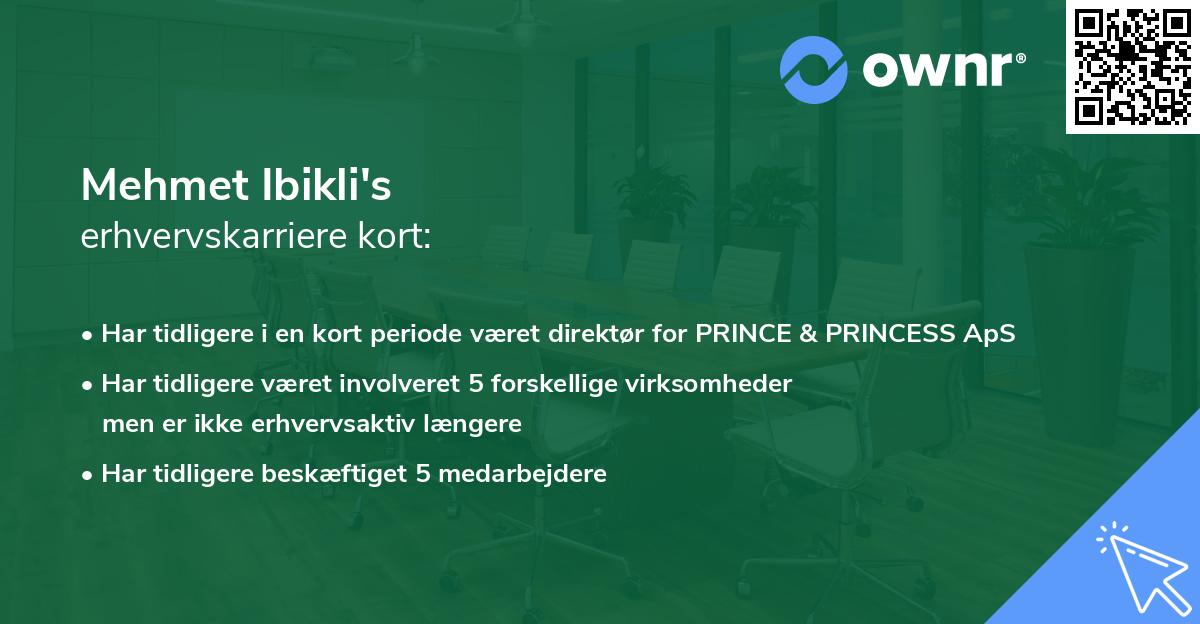 Mehmet Ibikli's erhvervskarriere kort