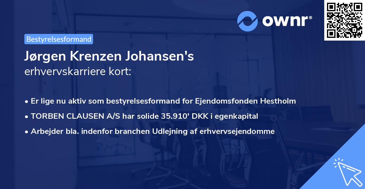 Jørgen Krenzen Johansen's erhvervskarriere kort