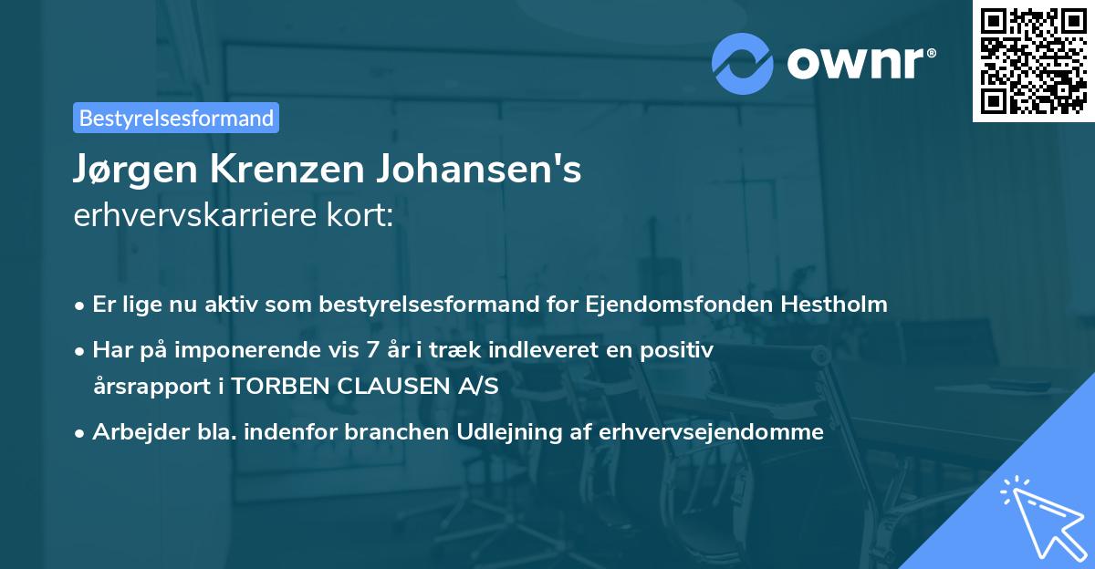 Jørgen Krenzen Johansen's erhvervskarriere kort