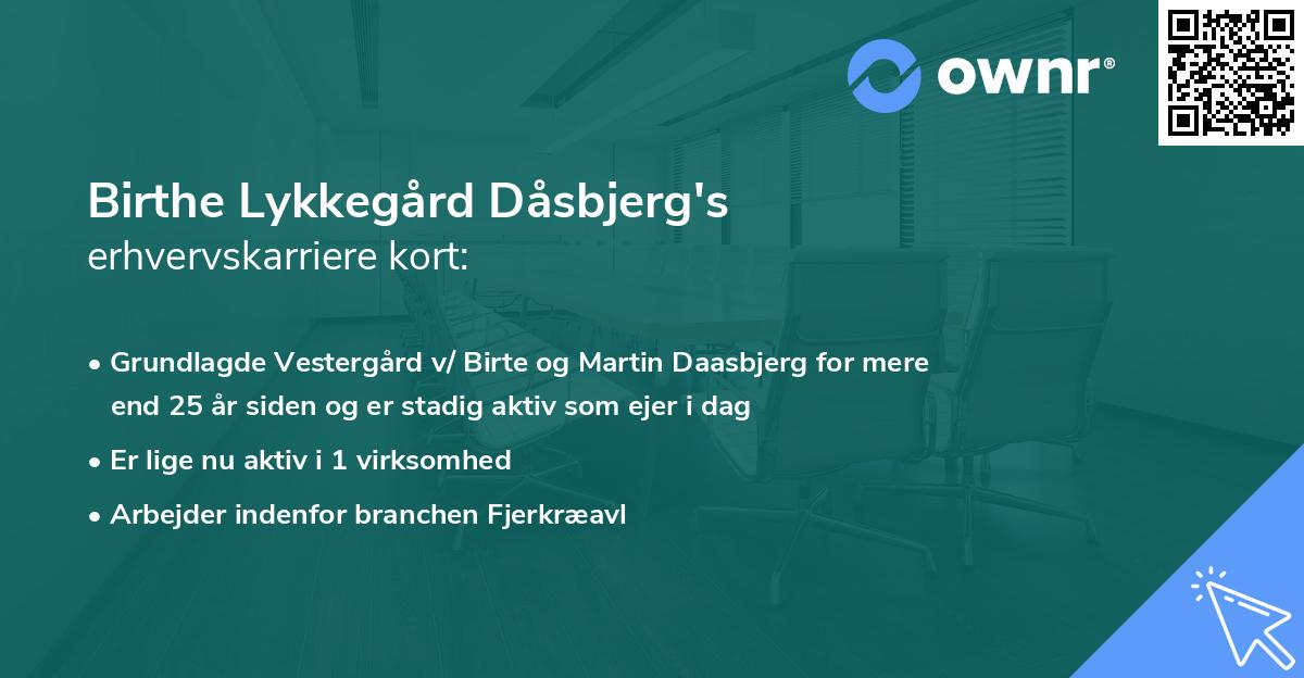 Birthe Lykkegård Dåsbjerg's erhvervskarriere kort