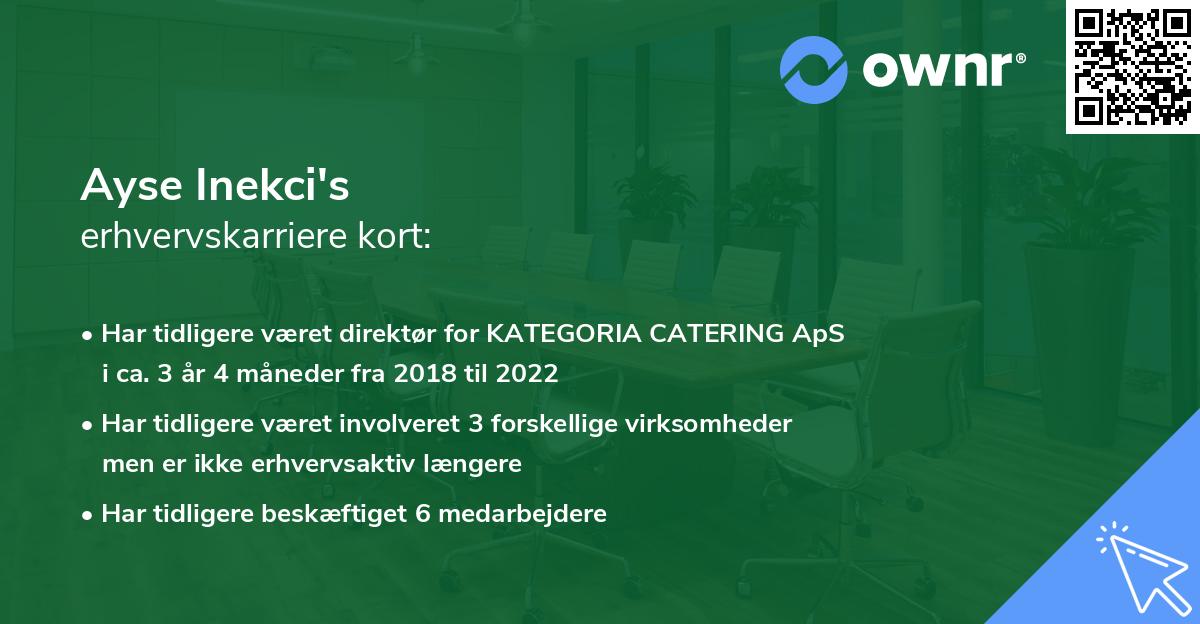 Ayse Inekci's erhvervskarriere kort